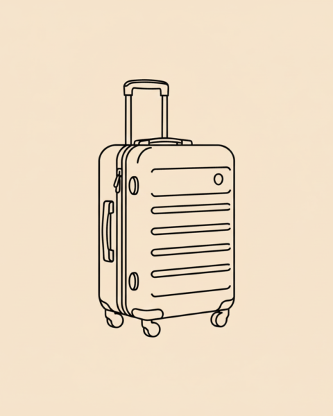 Samsonite Omni PC 20-Inch: The 20-Trip Thermal Wheel Failure
